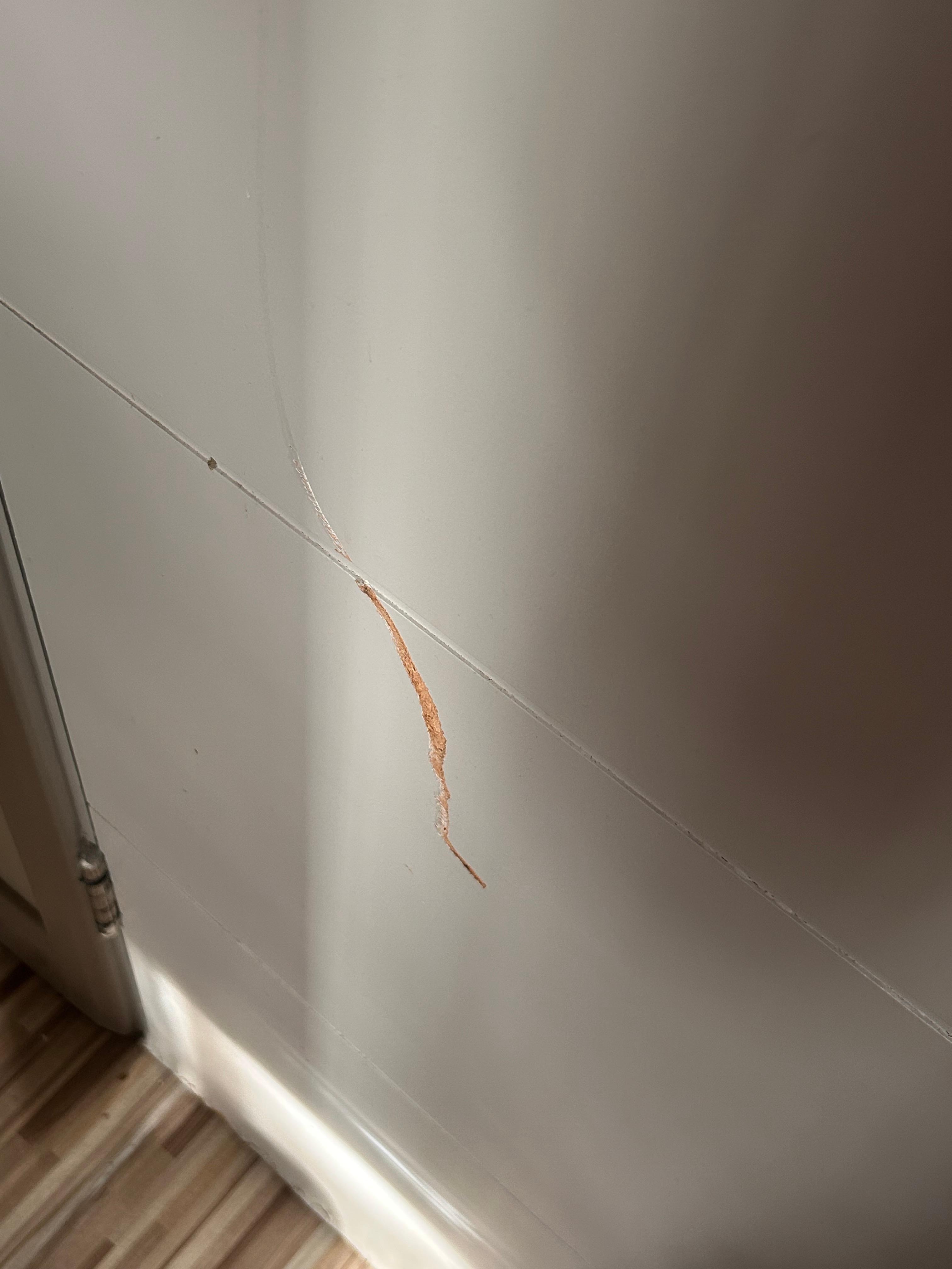 Huge gash in the suite door.