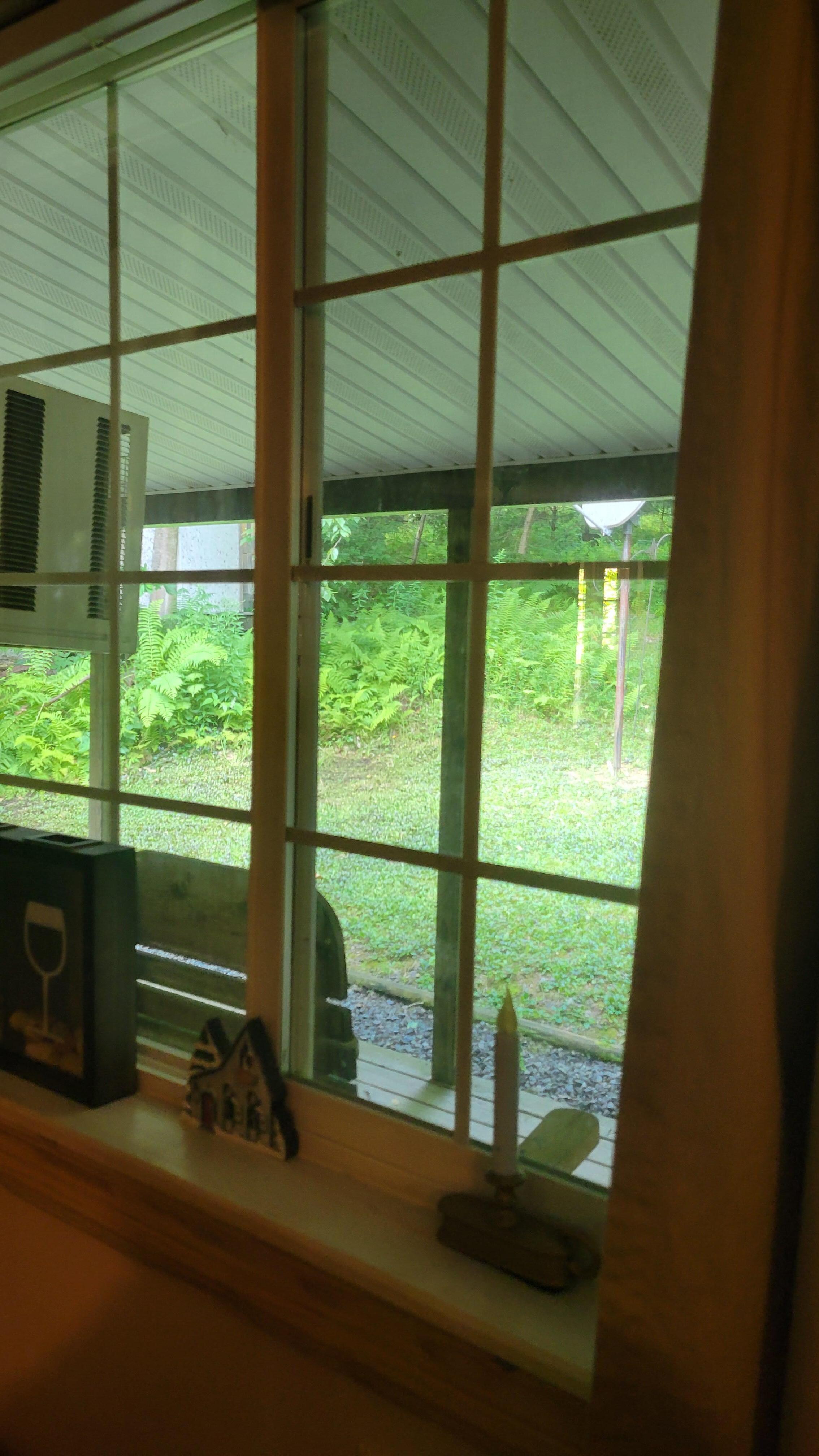 Dining View
