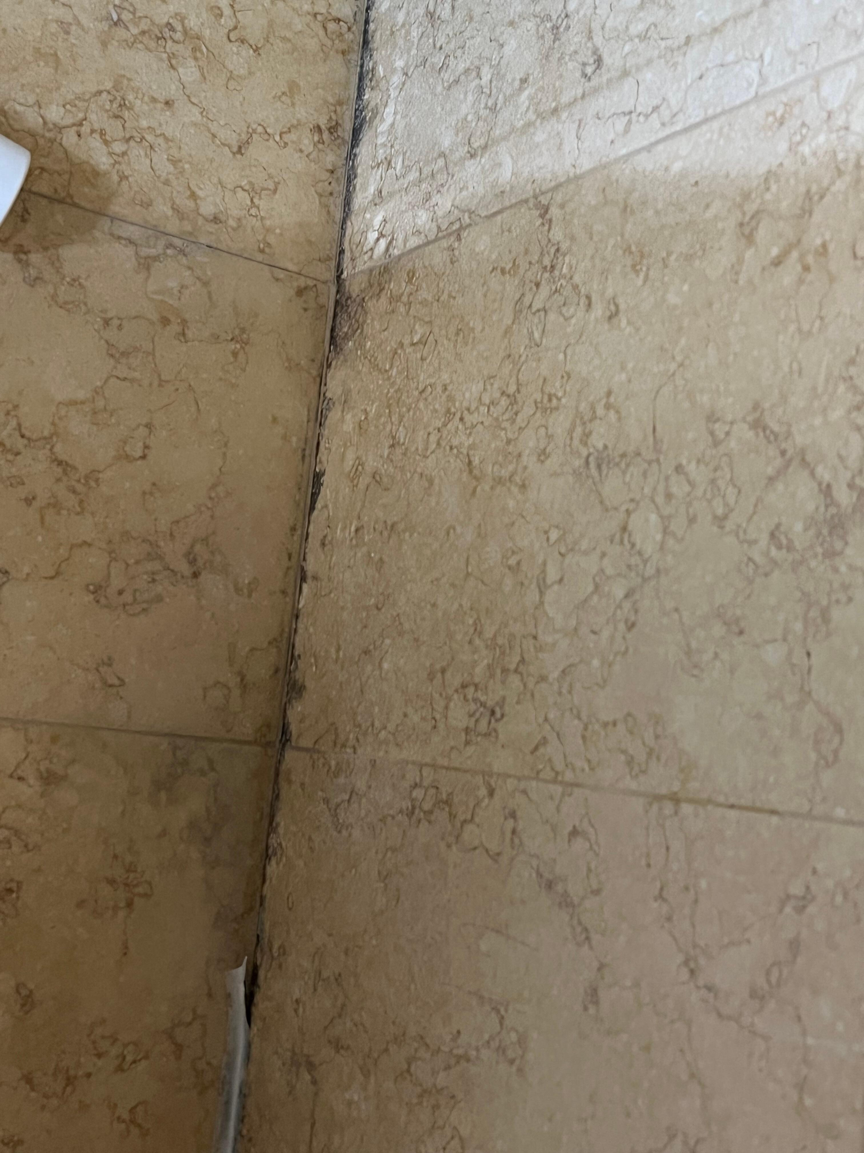 More of mold.  Yuck. 