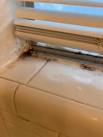 Mold all over upstairs shower