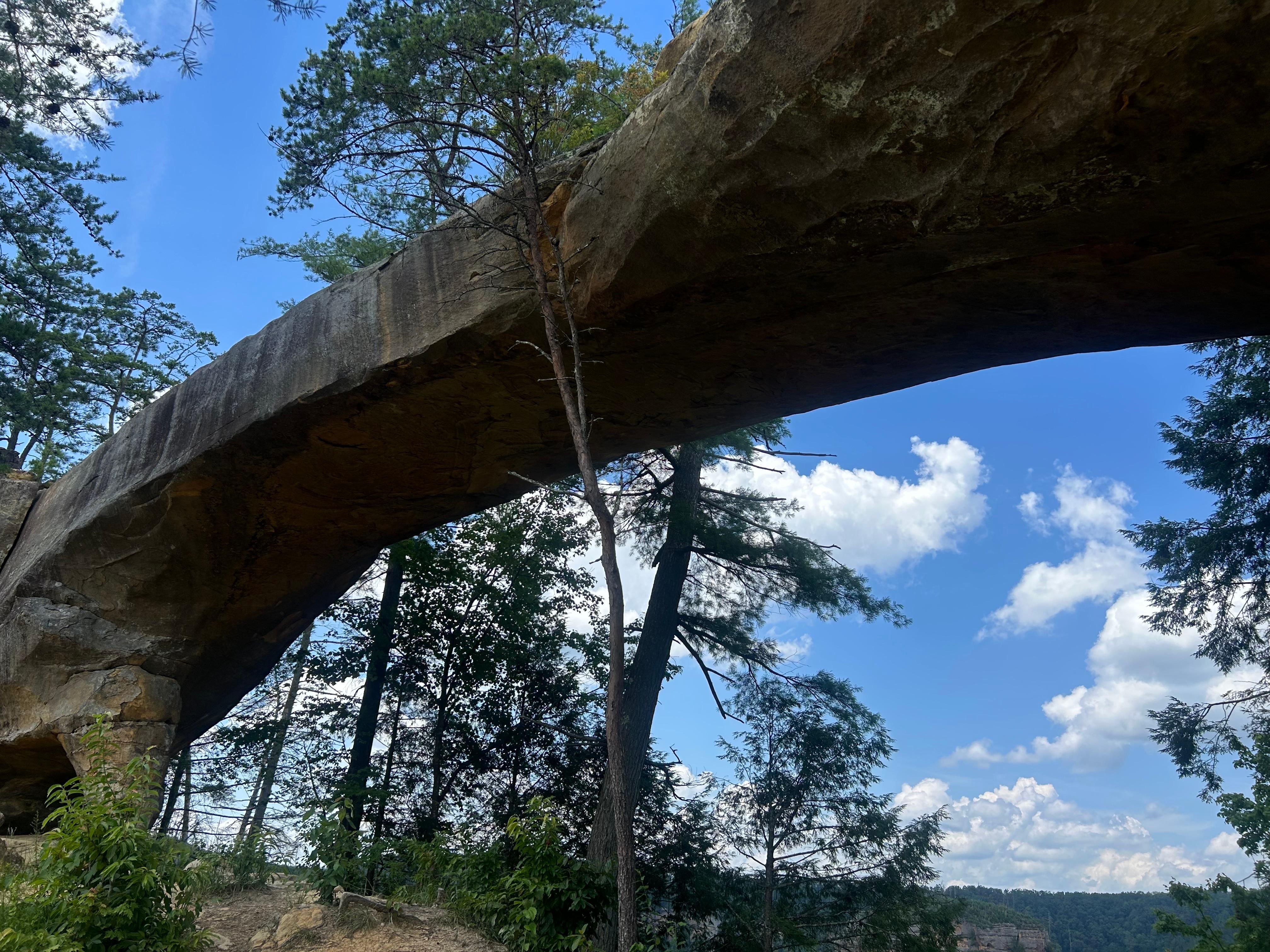 Below Sky Bridge