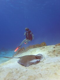 1st dive during certification