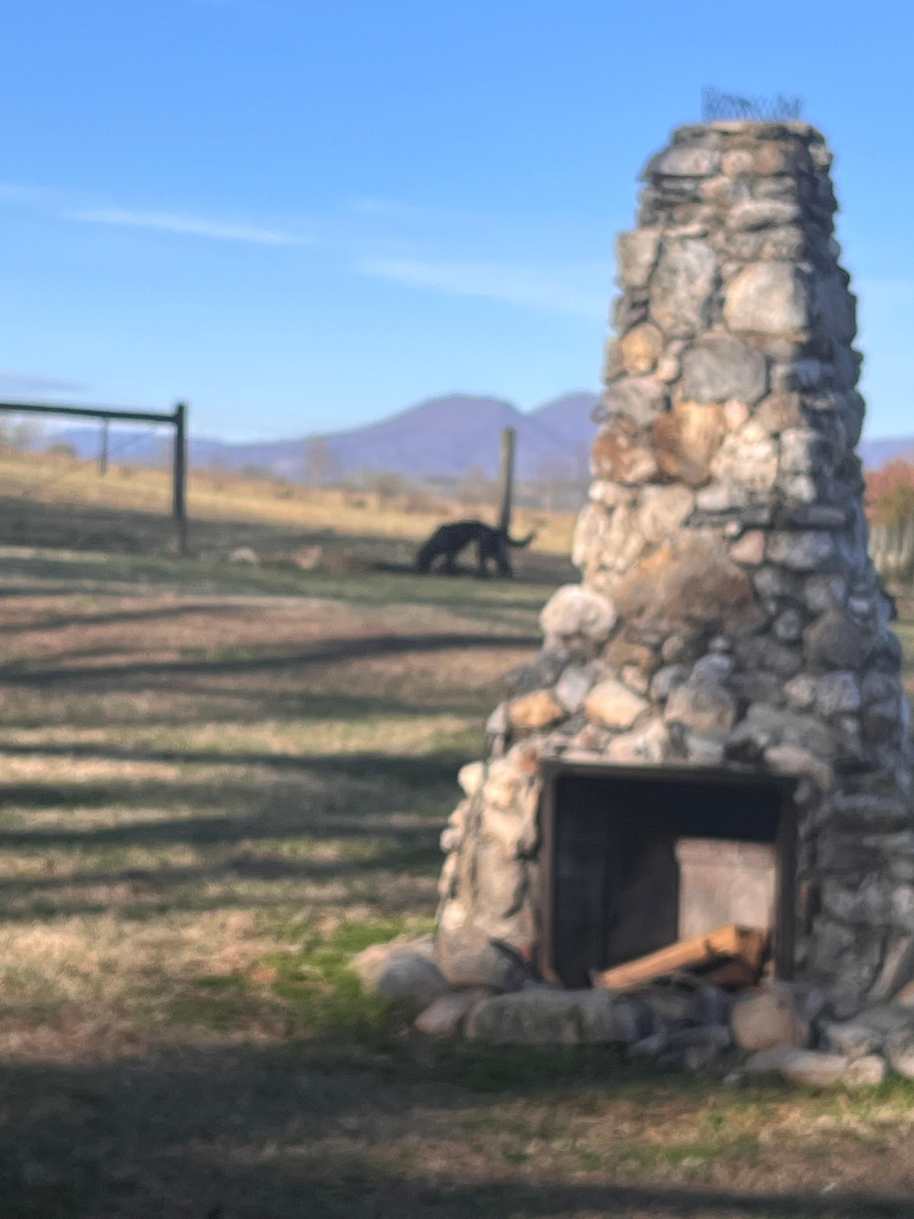 Beautiful view out the front door 