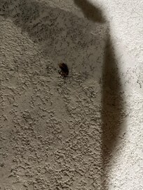 2 more out at the pool