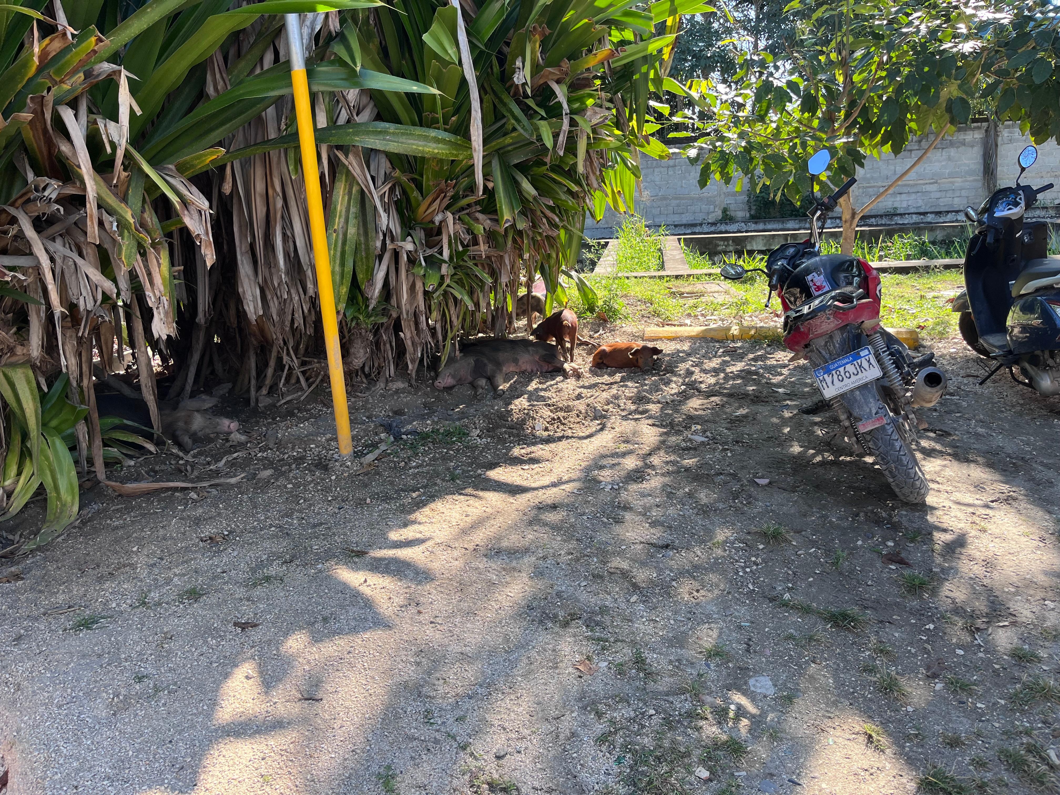 Free parking across the street.