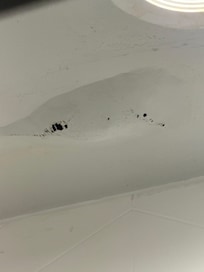 Bubble filled with water/sewage pipe?