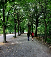 Schonbrunn