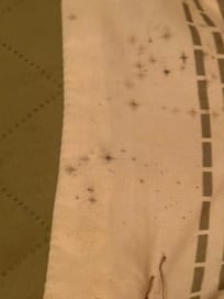 Mold on comforter