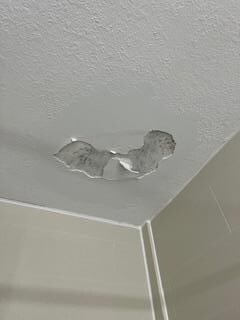 Ceiling 