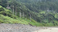 On the beach looking towards the house.