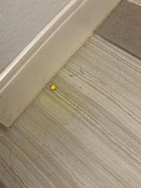 Dirty floors when we checked in