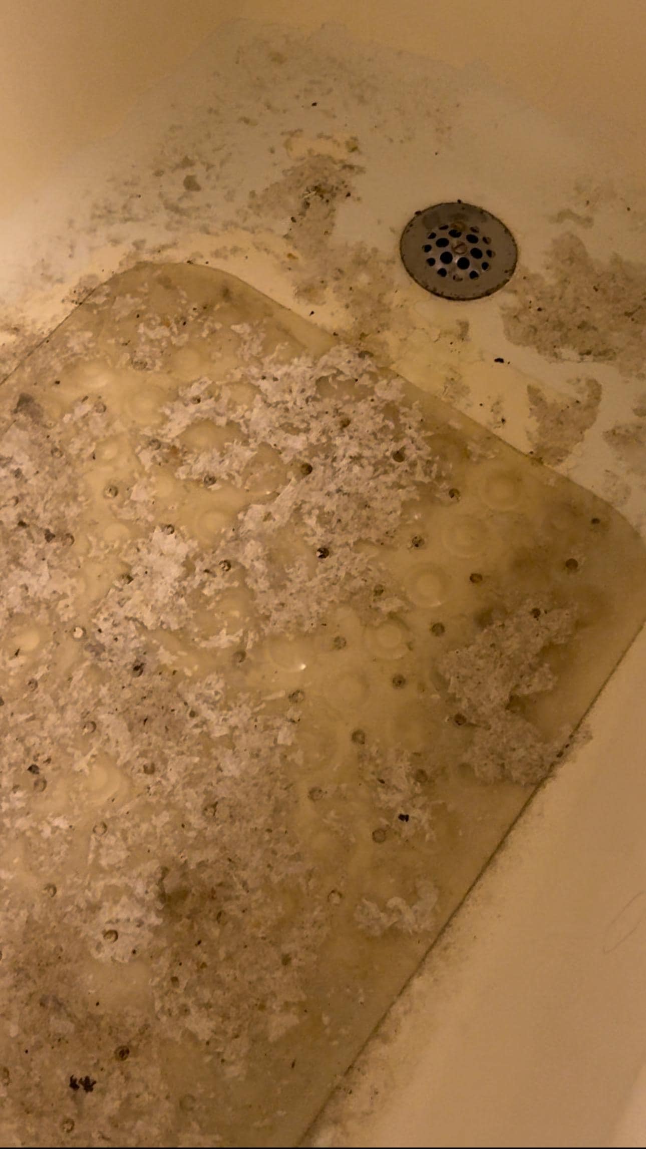 Close up of bathtub mat showing feces, toilet paper and raw sewage.