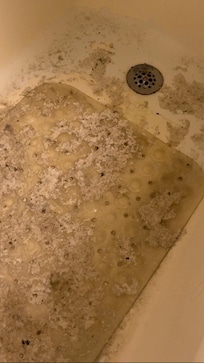 Close up of bathtub mat showing feces, toilet paper and raw sewage.