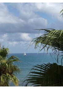 view from my room