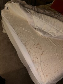 Bed bug stains on sheets.