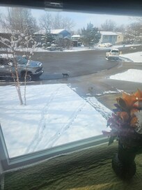 Friendly neighborhood.