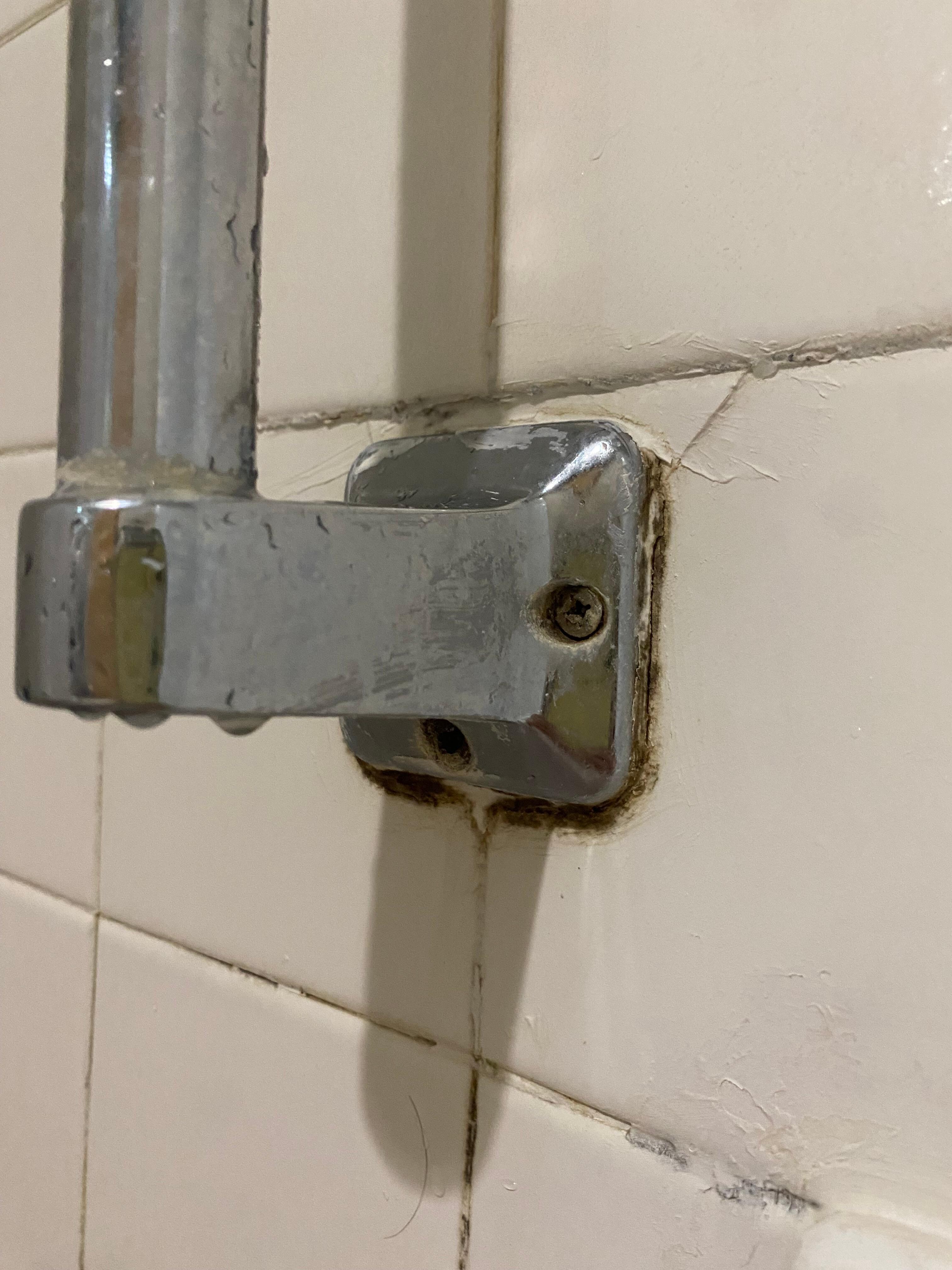 Mildew