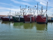 Barnegat Bay