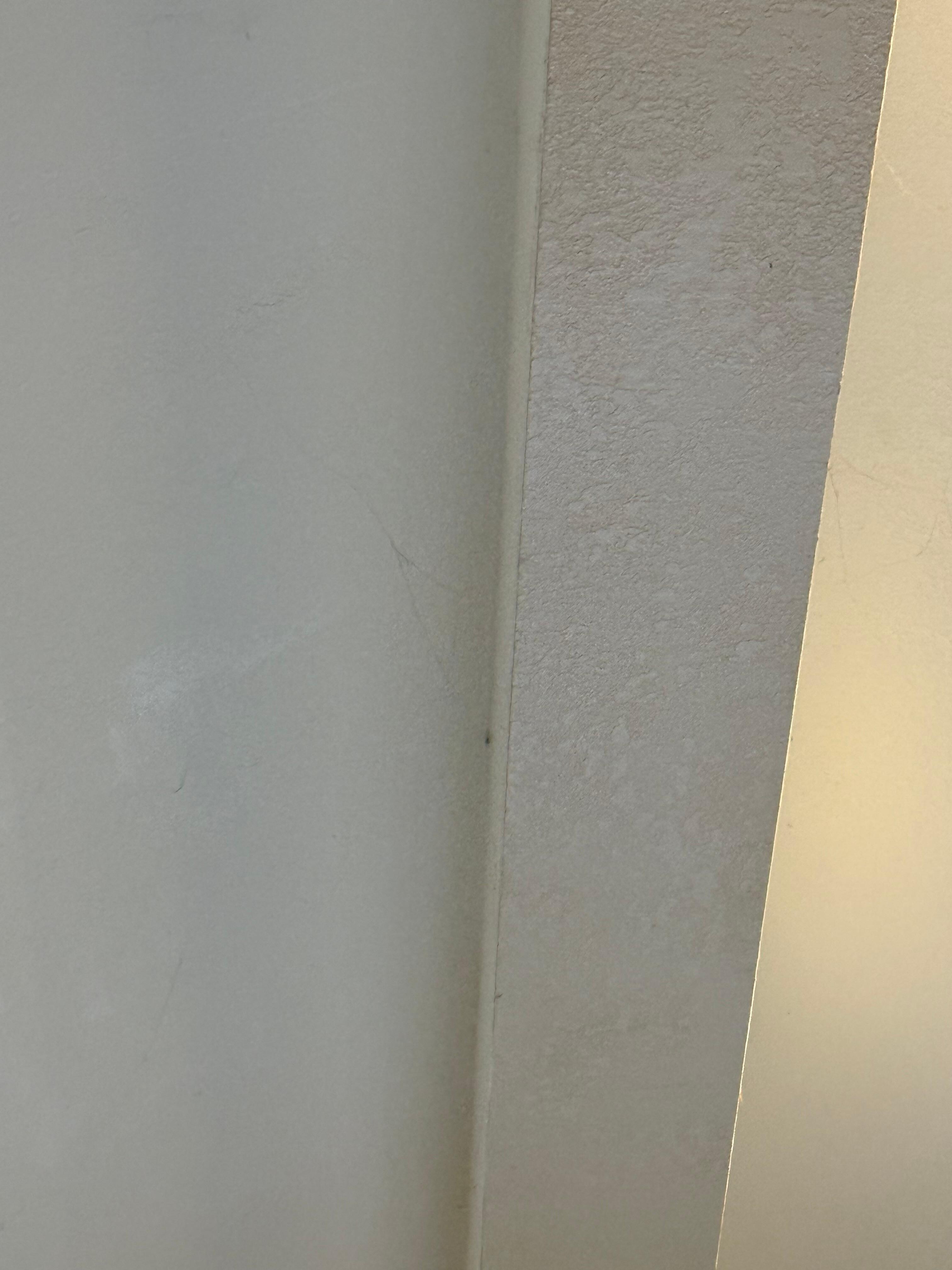 Unattended spider webs.