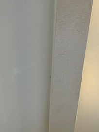 Unattended spider webs.