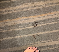 Sticky stain on the floor between the beds