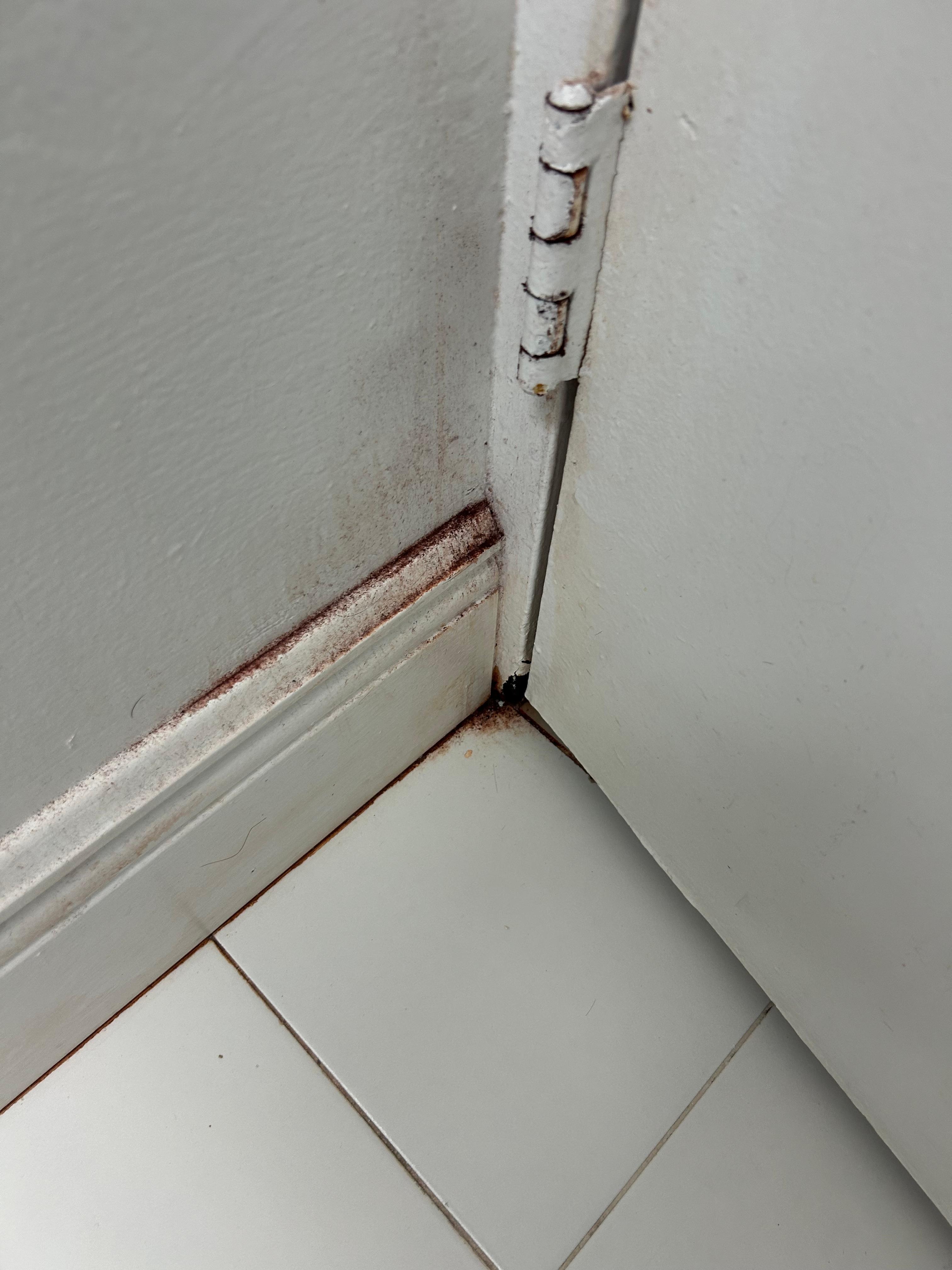 Lots of gross places   I have more pictures but you get drift