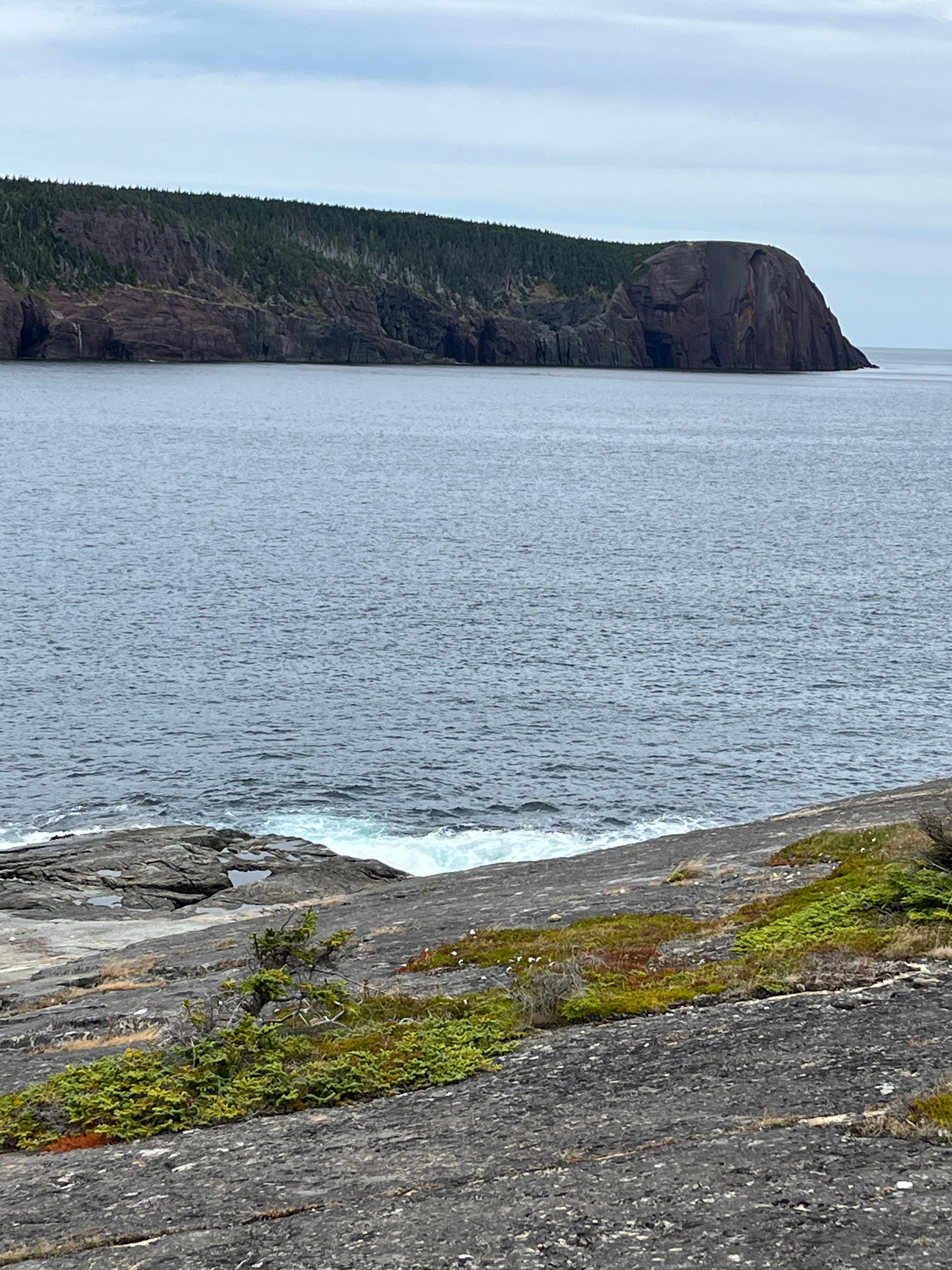 Views from the porch