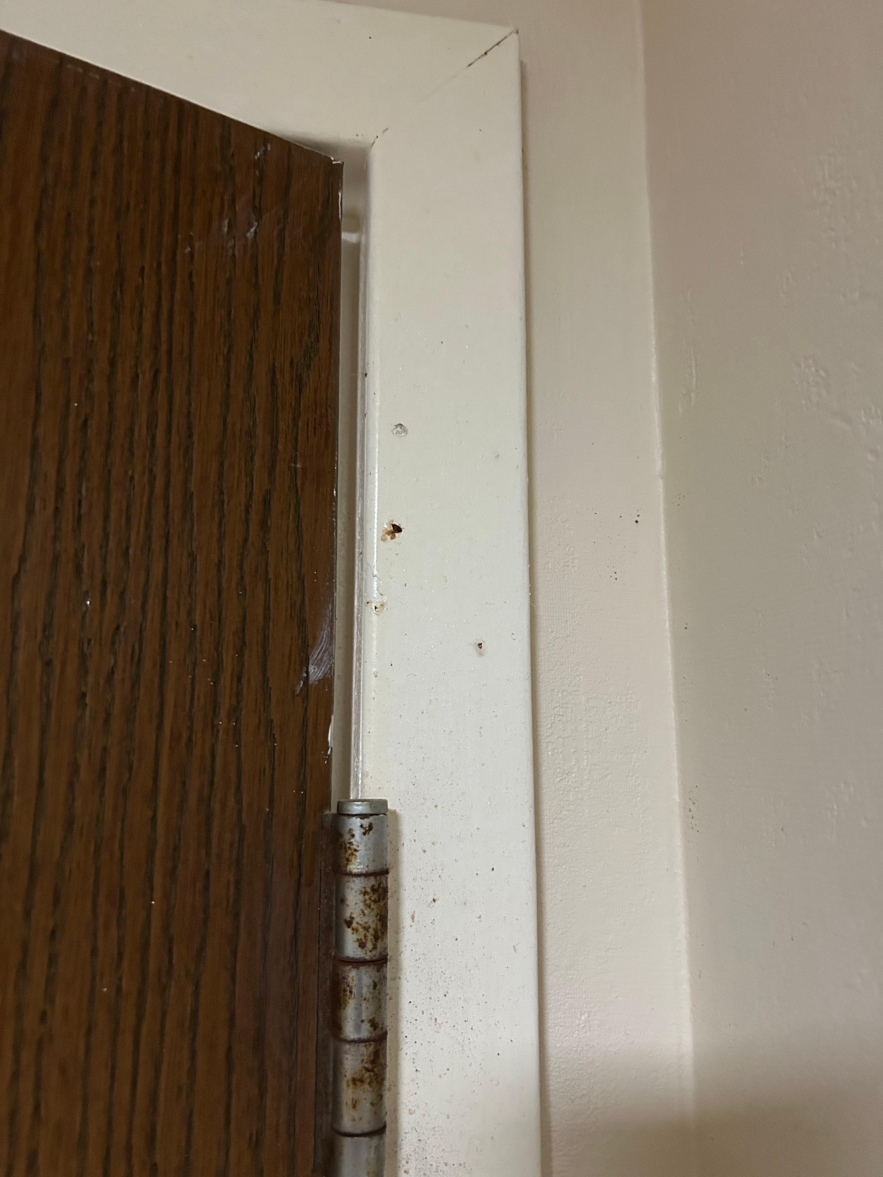 Stuck on mess that could be cleaned 