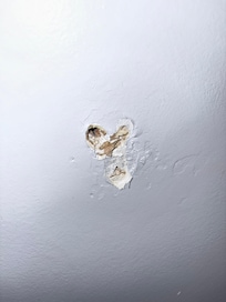 The host has had prior repairs to the wall where the hand railing was attached to the wall, but it was in drywall and not a stud