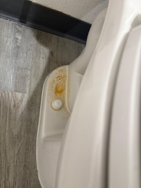 Urine stain