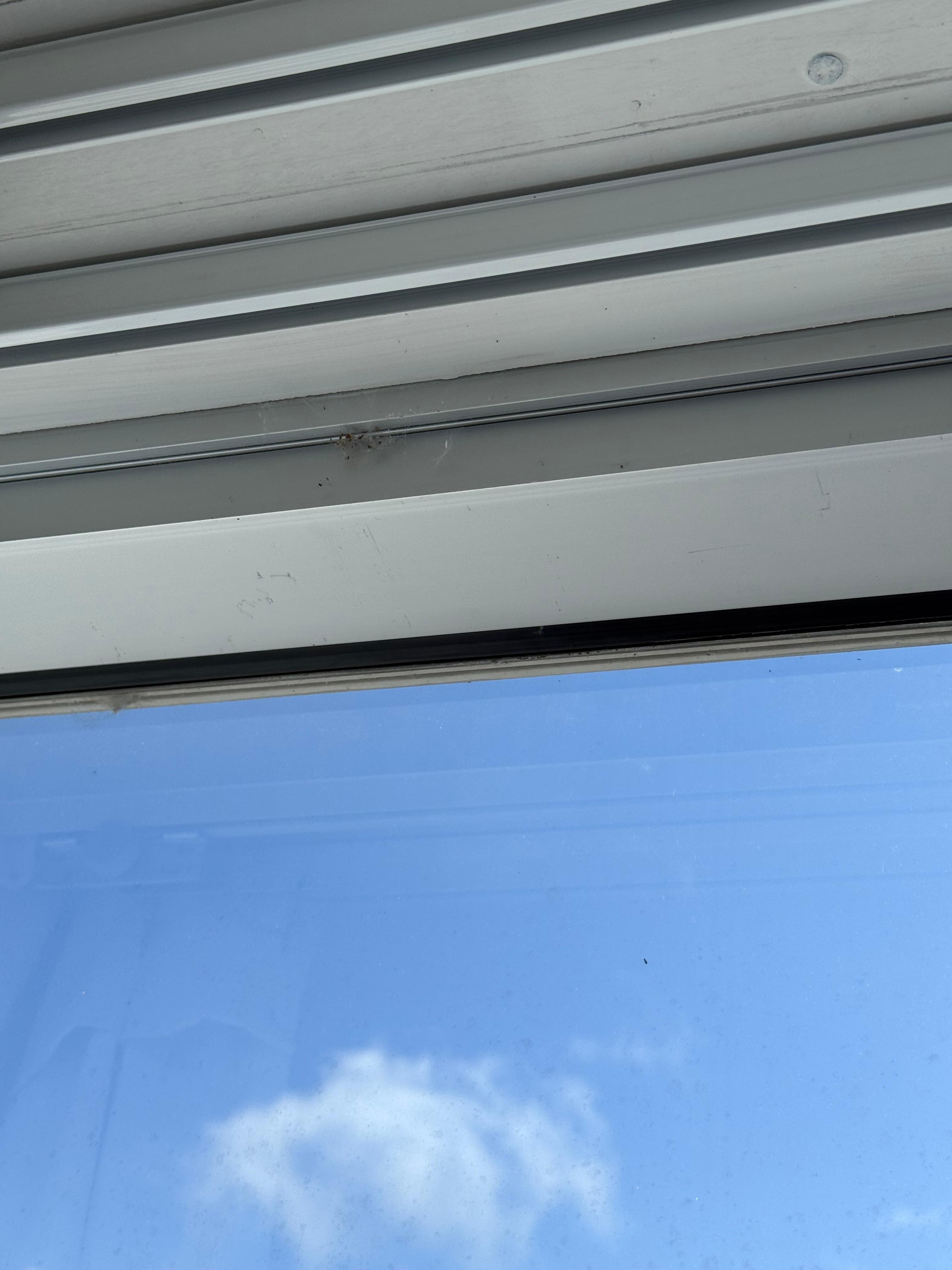 Spider webs on both sides of the window. 