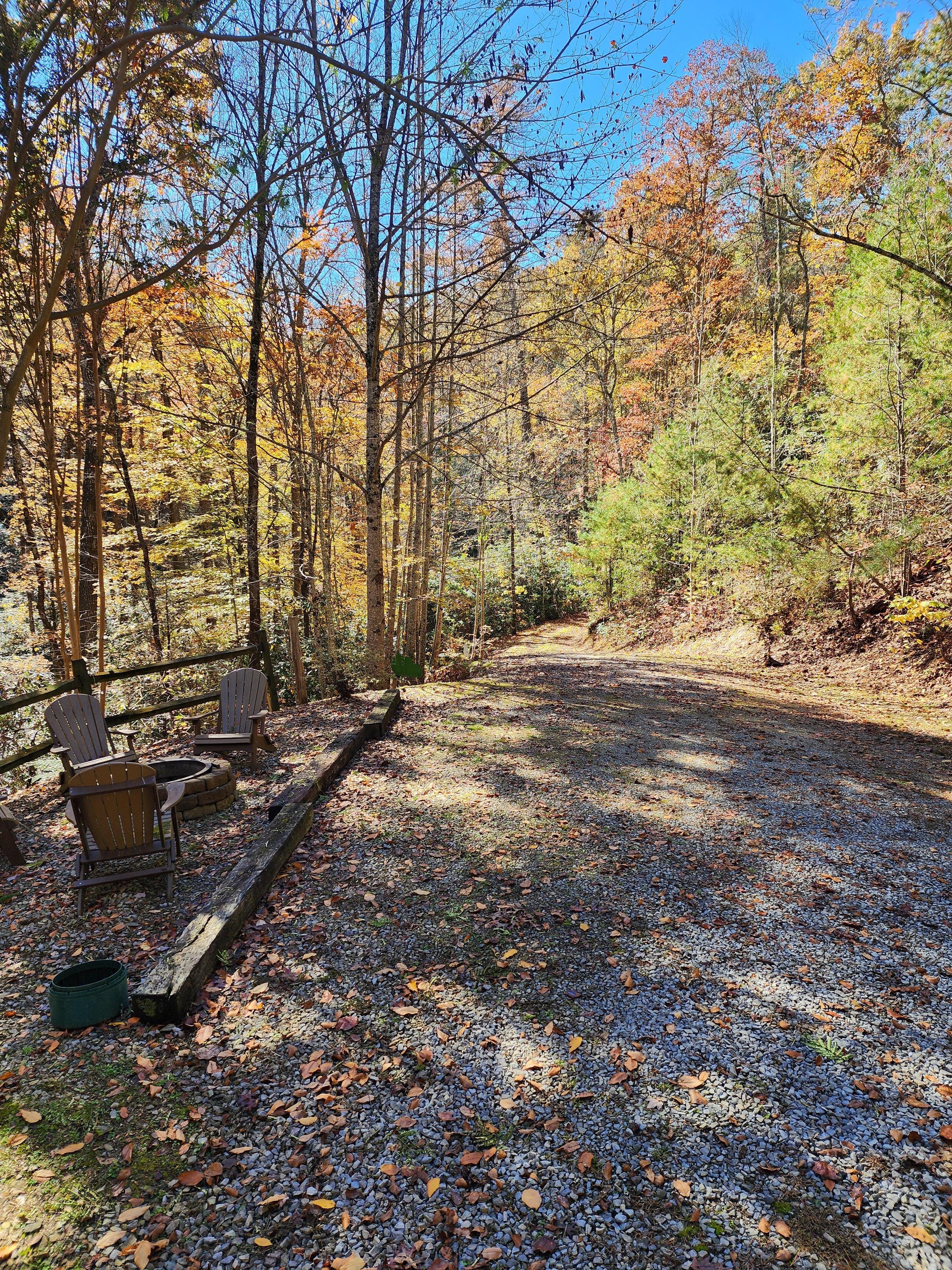 Driveway and firepit.