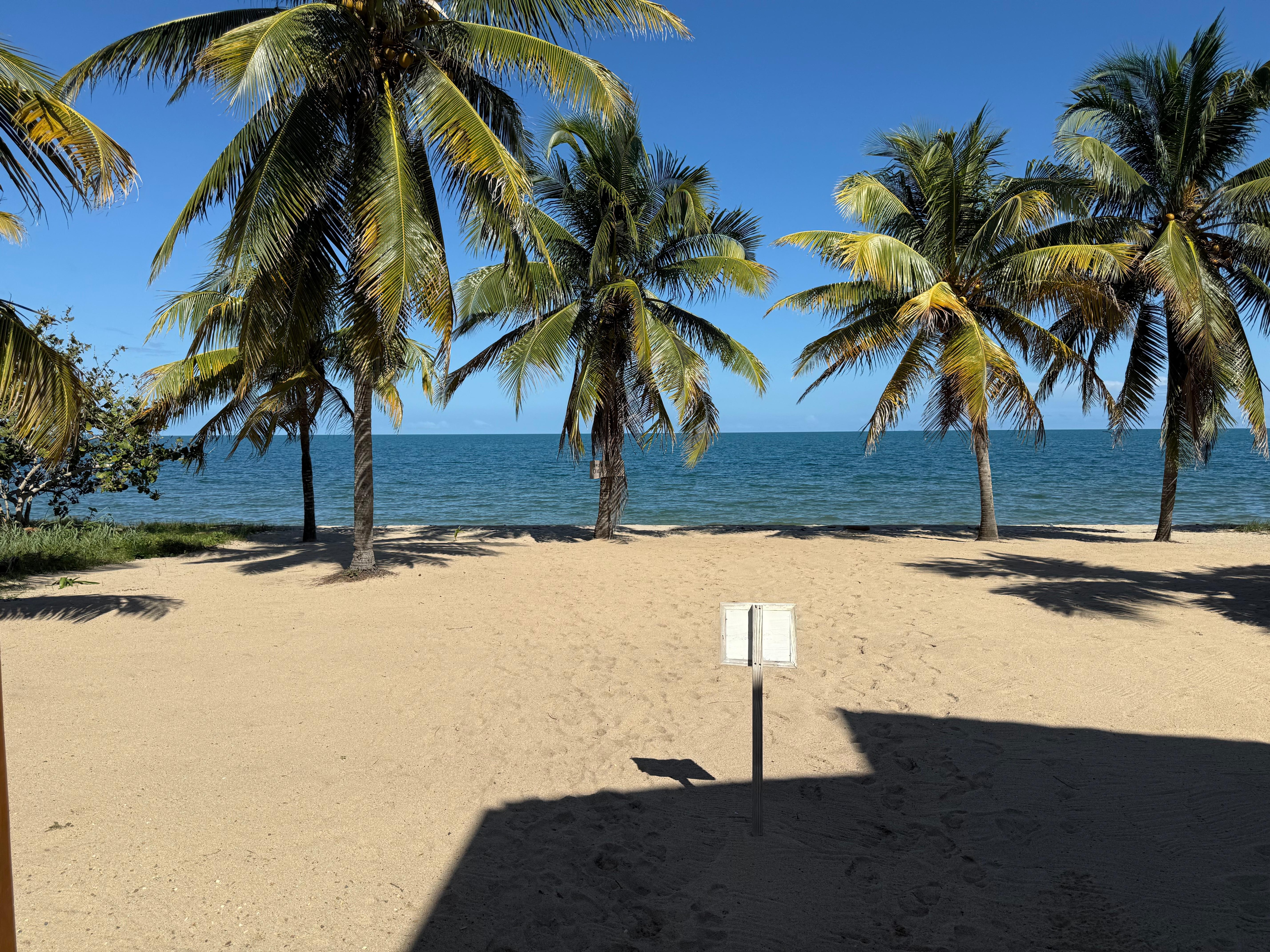 View from the front deck.