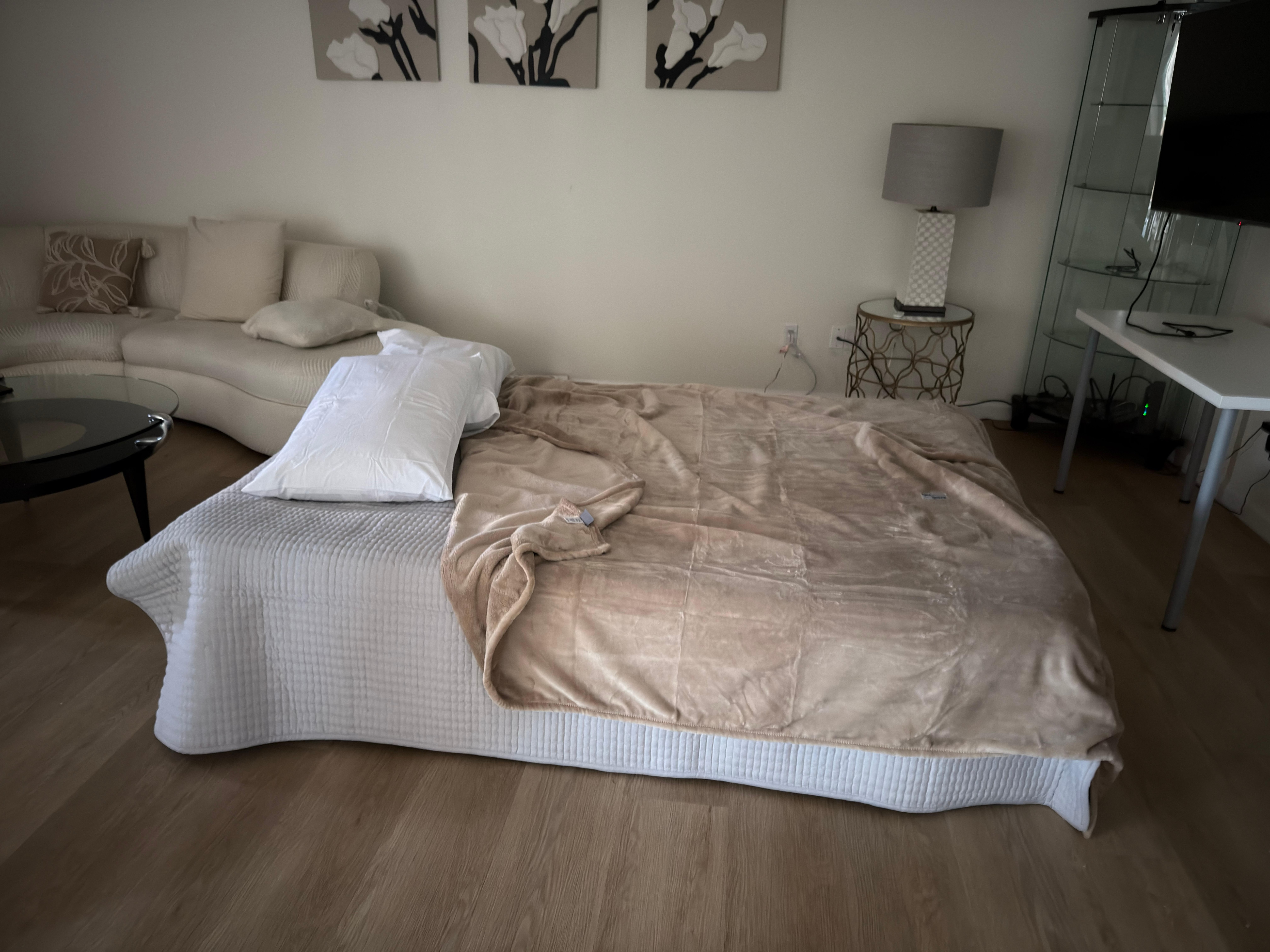 This is the aerobed I had to purchase because even after washing the sheets and towels in bleach the smell was still there