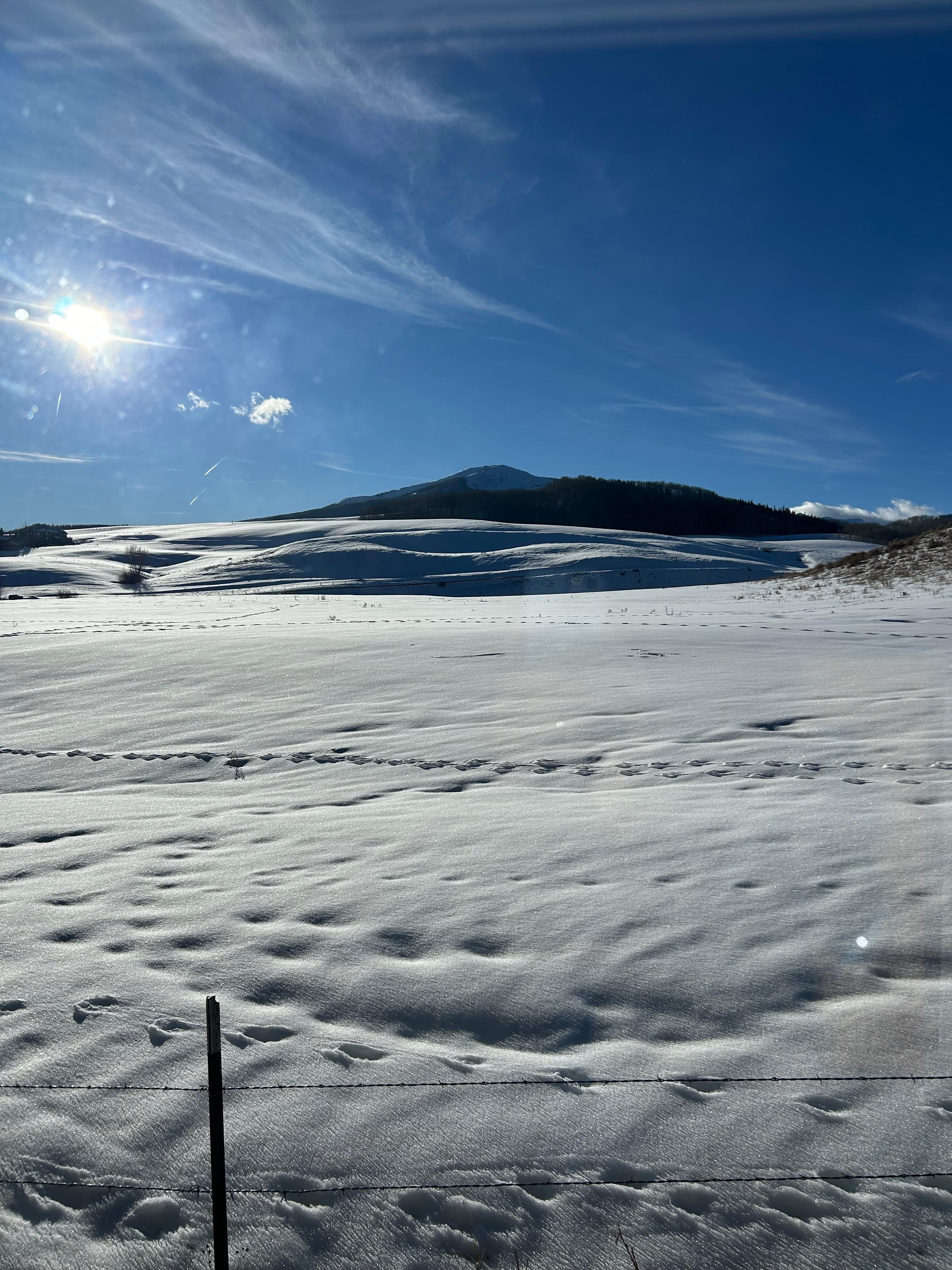 View out of the back bedroom!