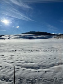 View out of the back bedroom!