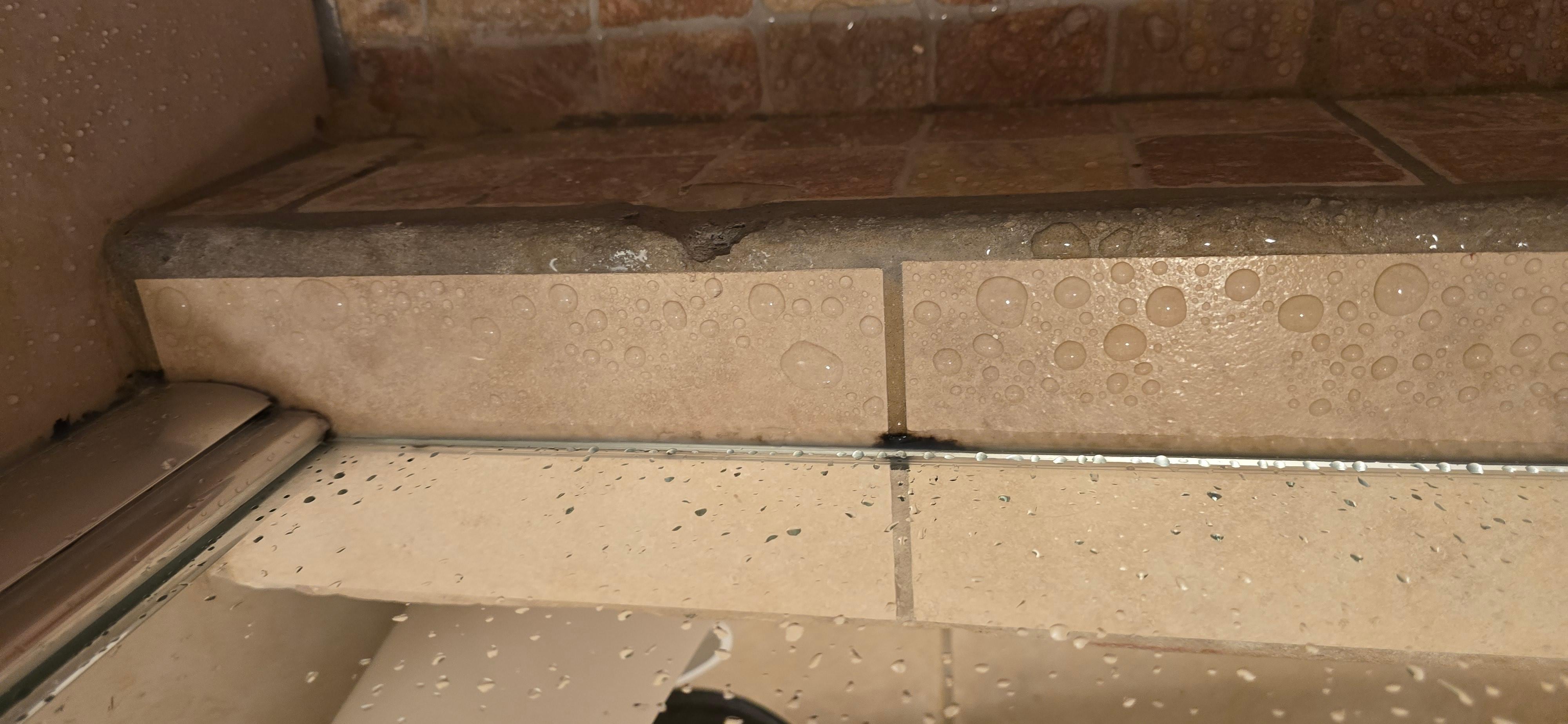 Mold in the bathroom 