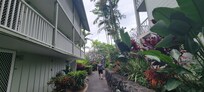 We loved the old Hawaii style gardens and open air lobby.