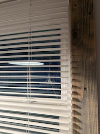 Cobwebs in the windows