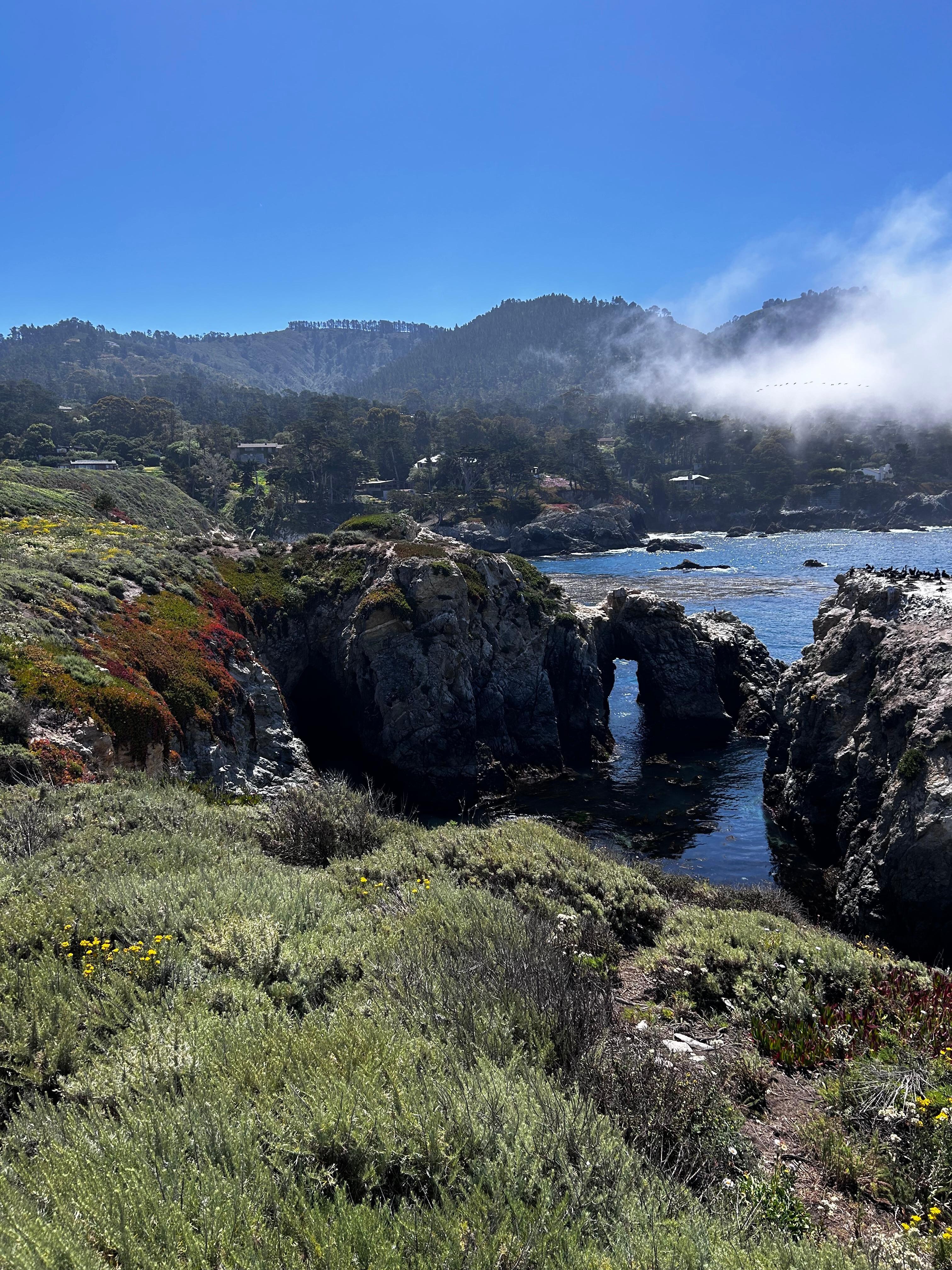 Nearby Point Lobos