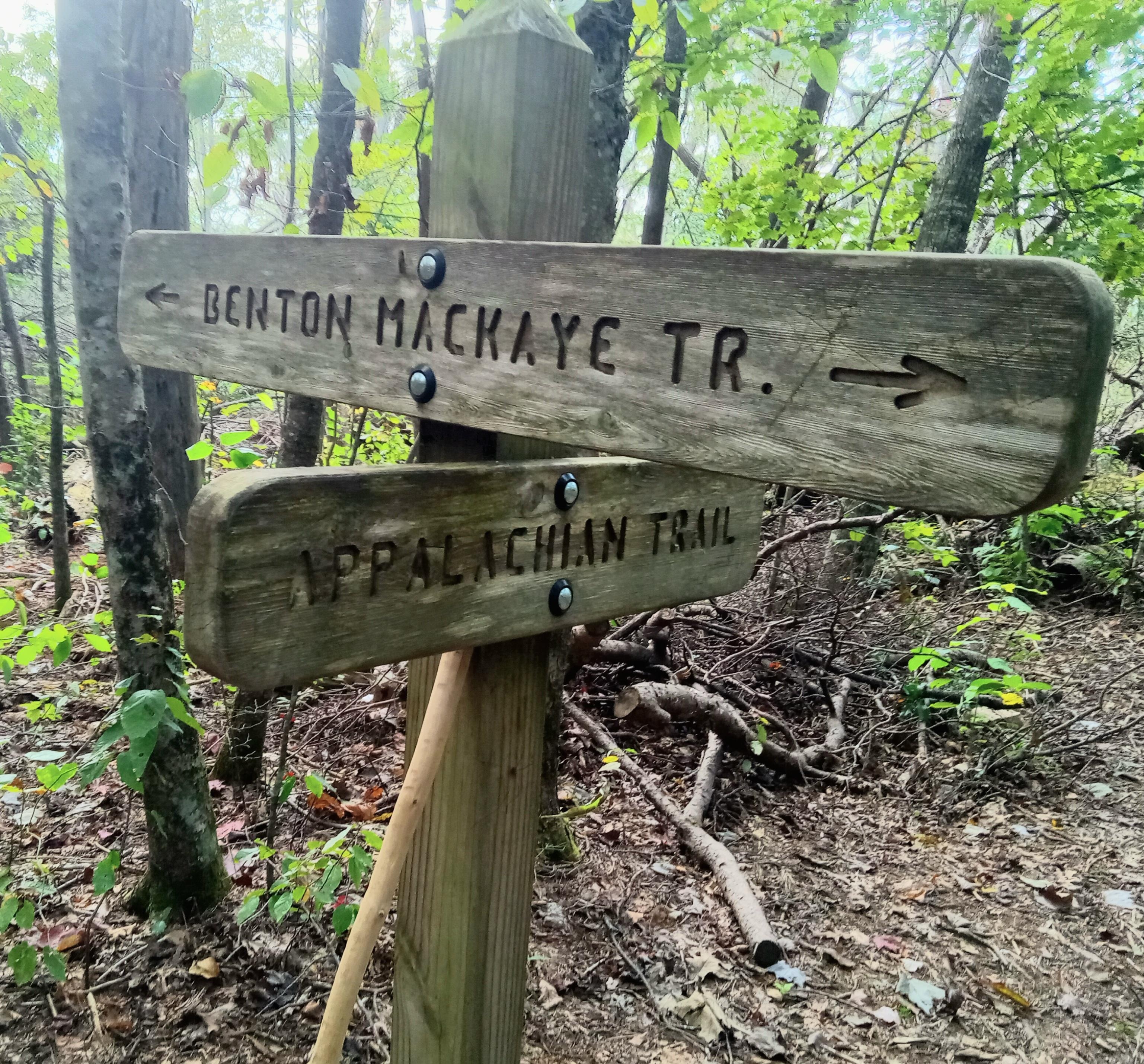 We hiked about 6 miles that day.