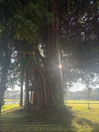 Breakfast option: noodle bowl with chicken