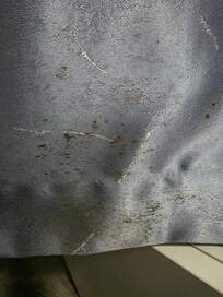 Looks suspiciously like mold and smelled like it, too.