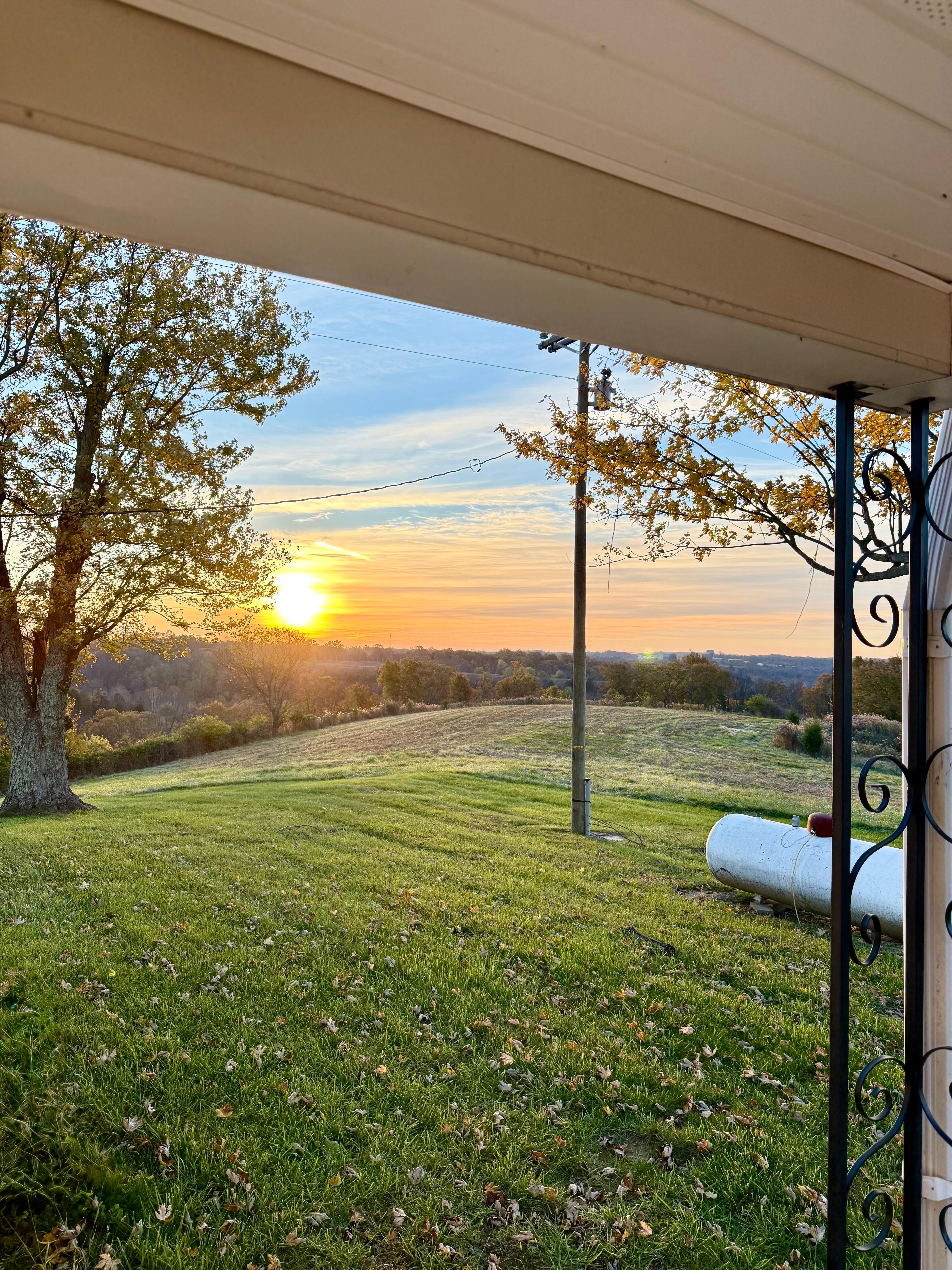 Early morning sunshine 