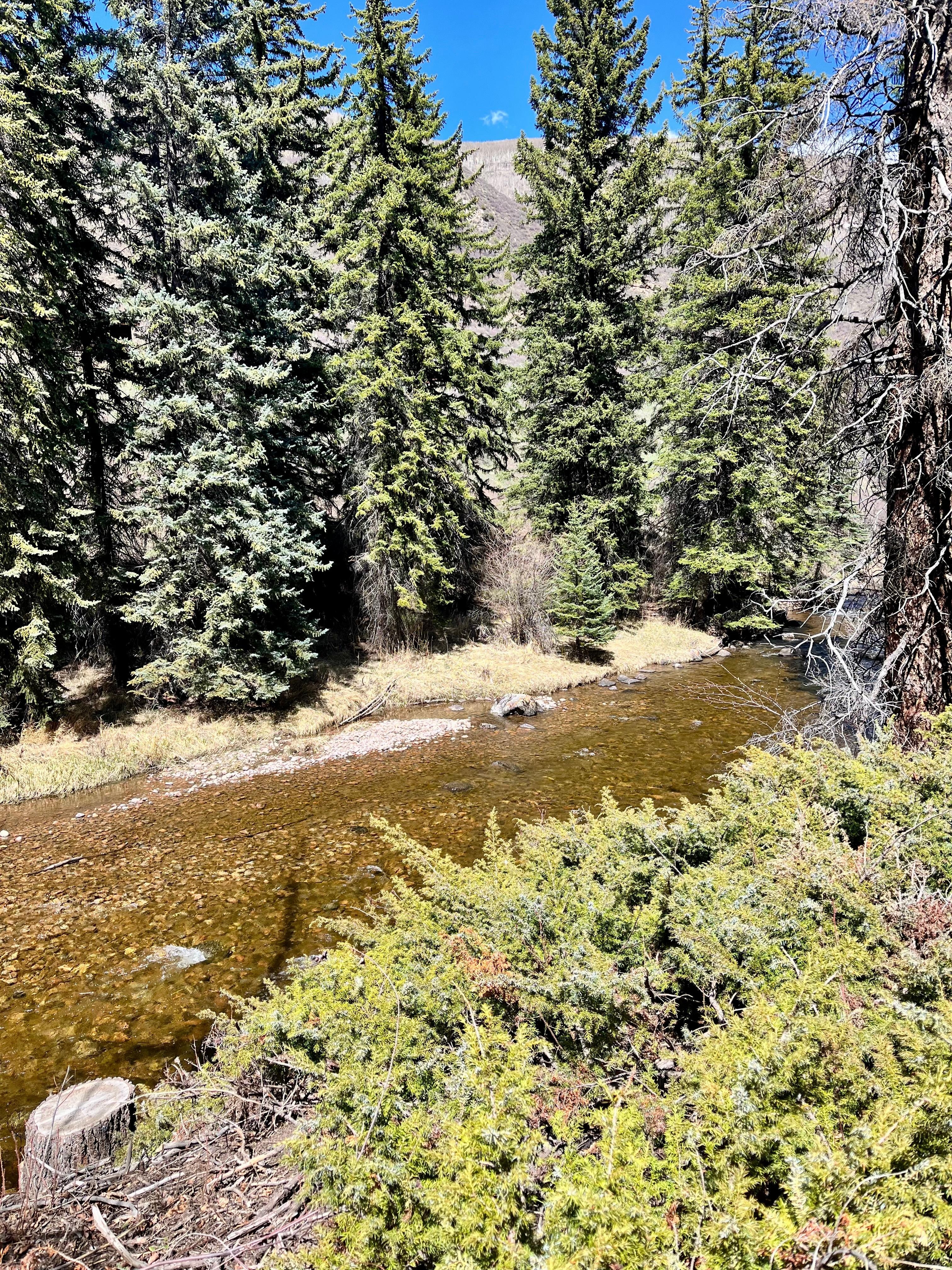 Fantastic trail and creek access directly behind condo 