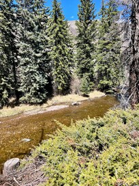 Fantastic trail and creek access directly behind condo