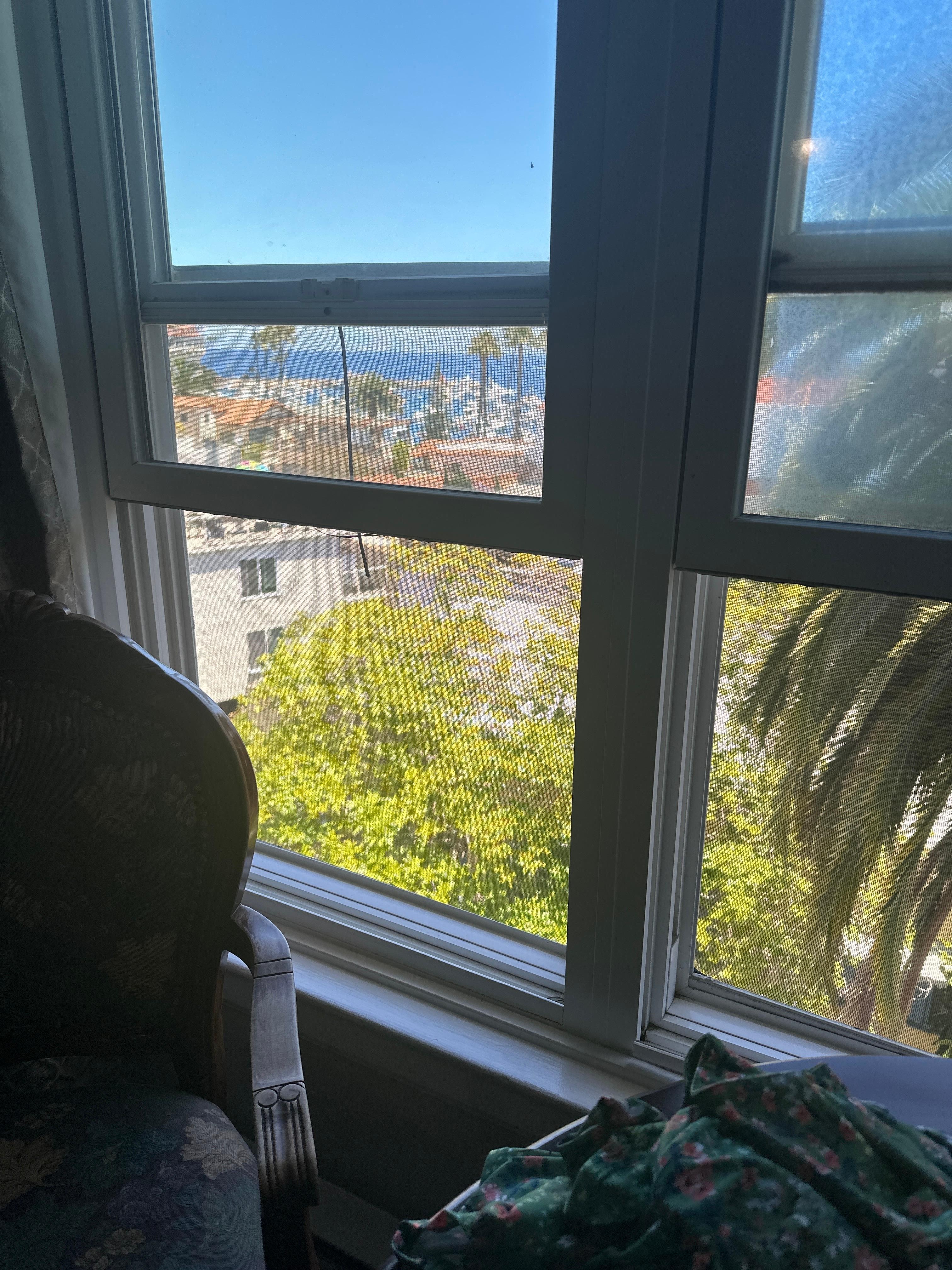 Third floor window view
