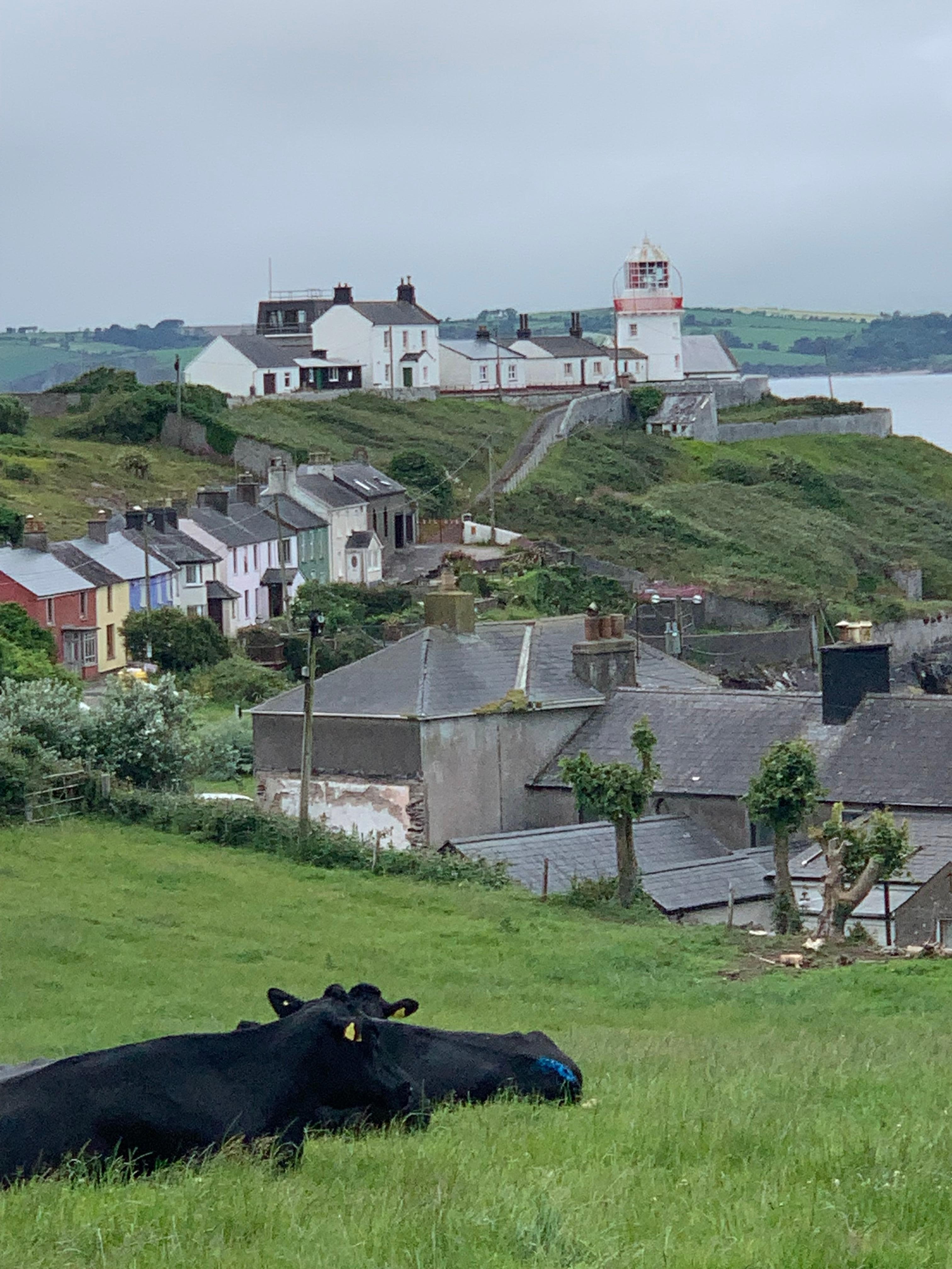 View as you drive up to the lighthouse.