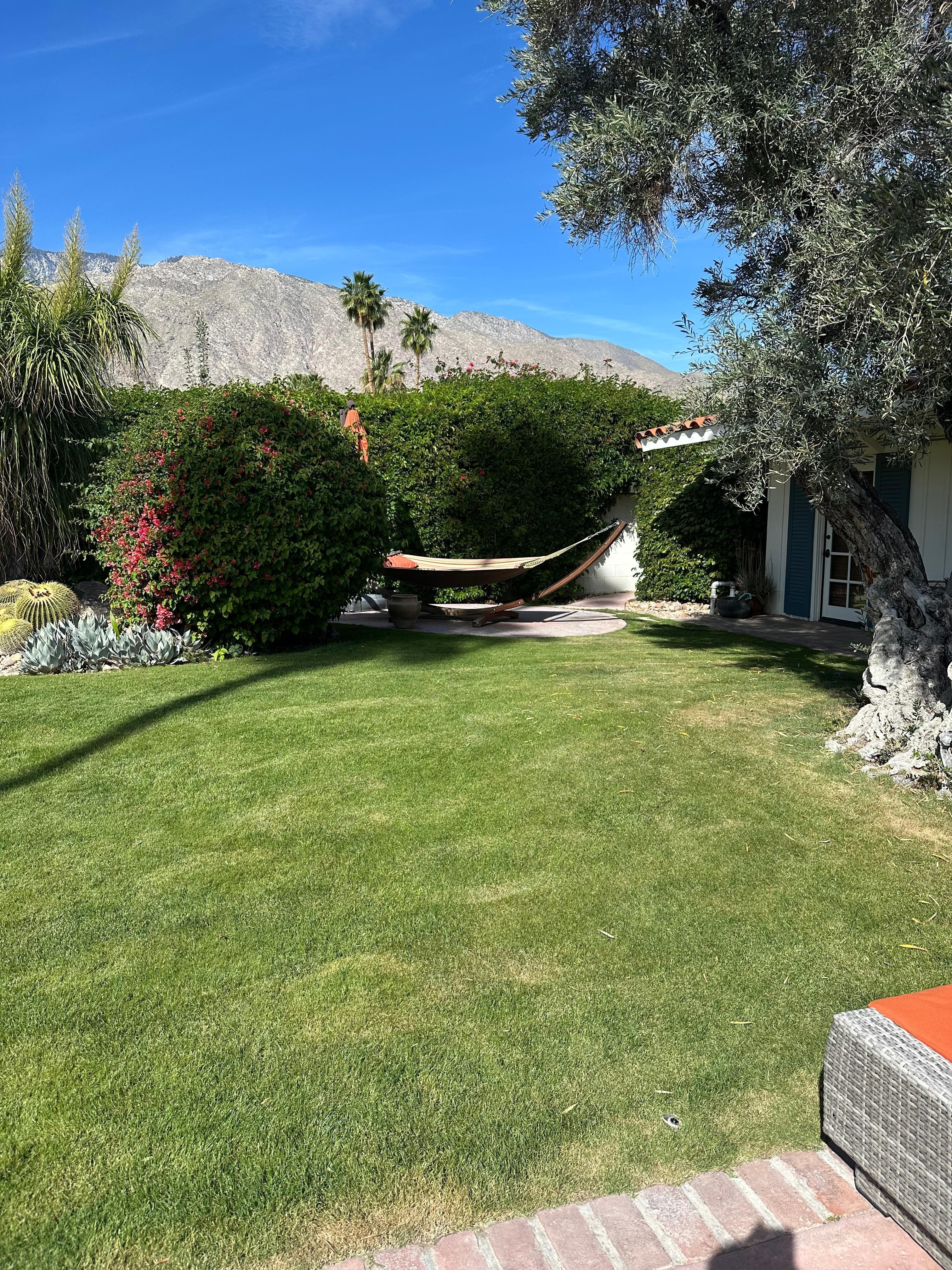 Grassy area and hammock 