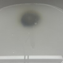 Sink was a bit clogged